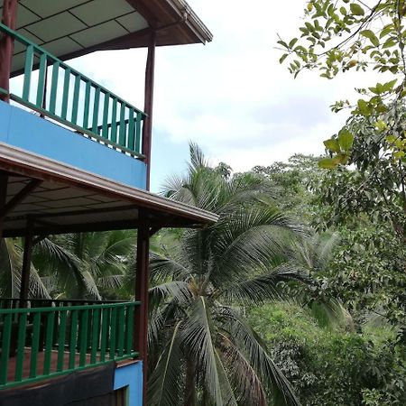 Allegra Hostel Drake Bay Luaran gambar