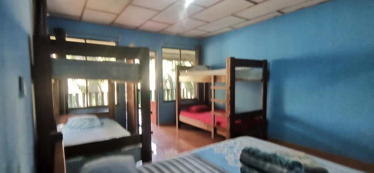 Allegra Hostel Drake Bay Luaran gambar