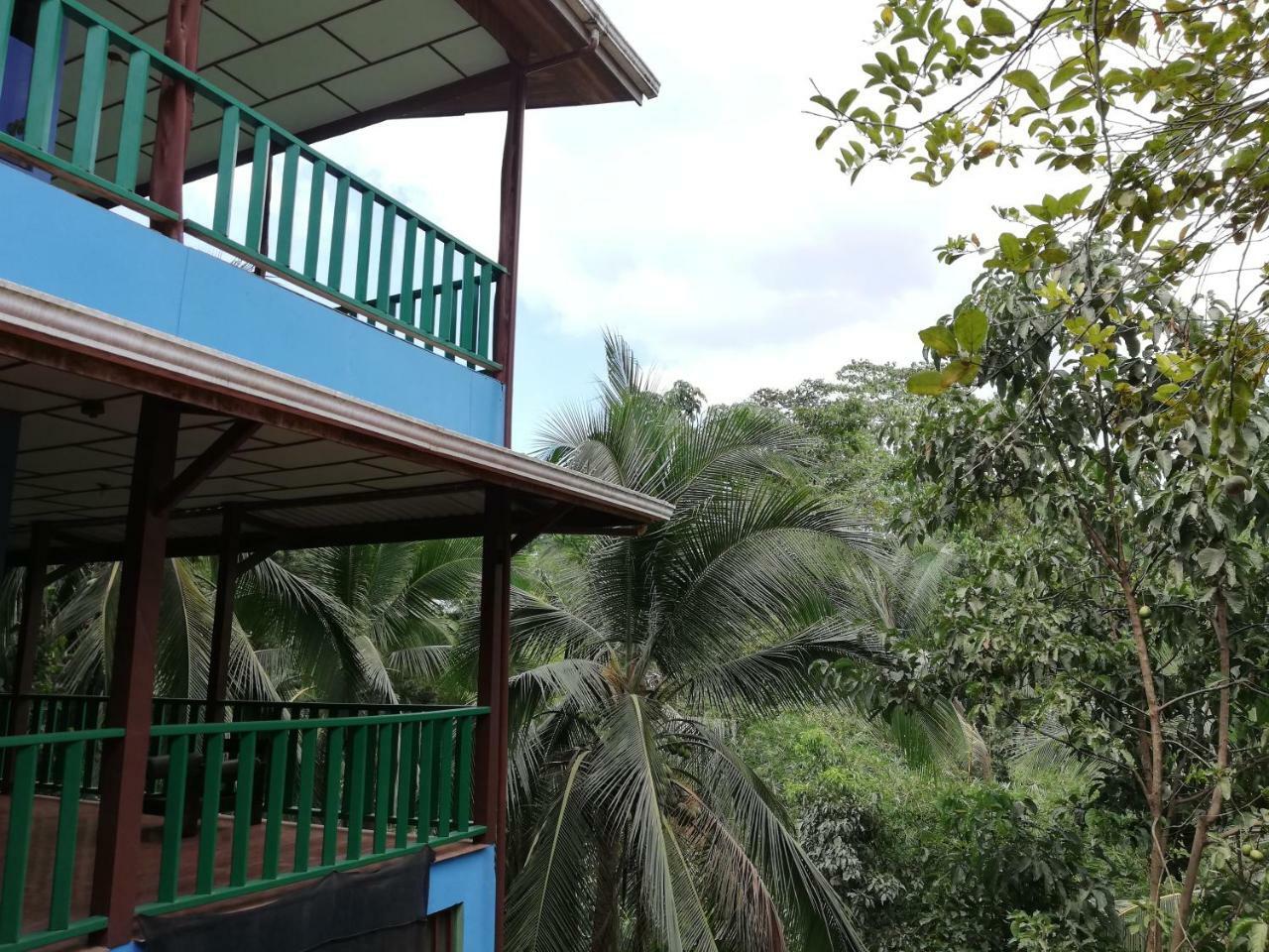 Allegra Hostel Drake Bay Luaran gambar